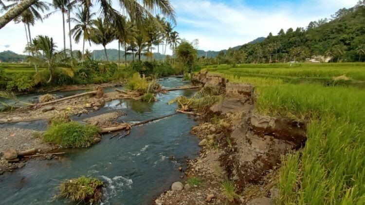 Sungai Alami Desa Bojong